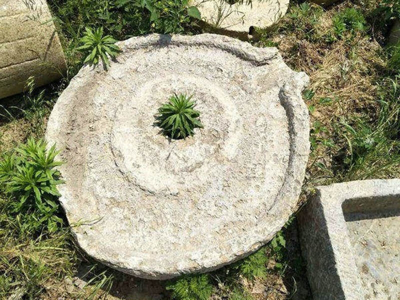 異型石